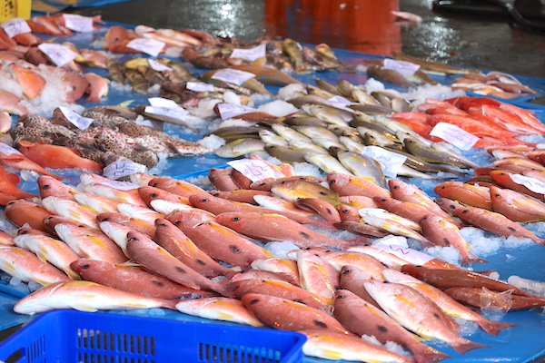清晨3-4點大家仍熟睡的時候，澎湖漁市場已經聚集人潮，琳琅滿目的漁貨紛紛進港。