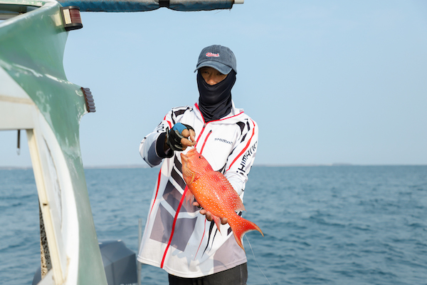 果然是豐富經驗海的釣職人，沒多久又釣到高級的「紅條魚」又稱為星斑。