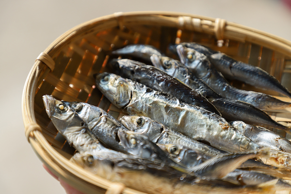 新鮮小魚捕撈立刻用鹽水燙熟，再經過艷陽曝曬與海風吹乾，也是澎湖當地的名產之一。
