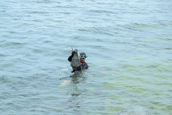 全副武裝的「海男」潛入水面下，手起手落馬上在礁石中挖出一顆顆鮑魚。